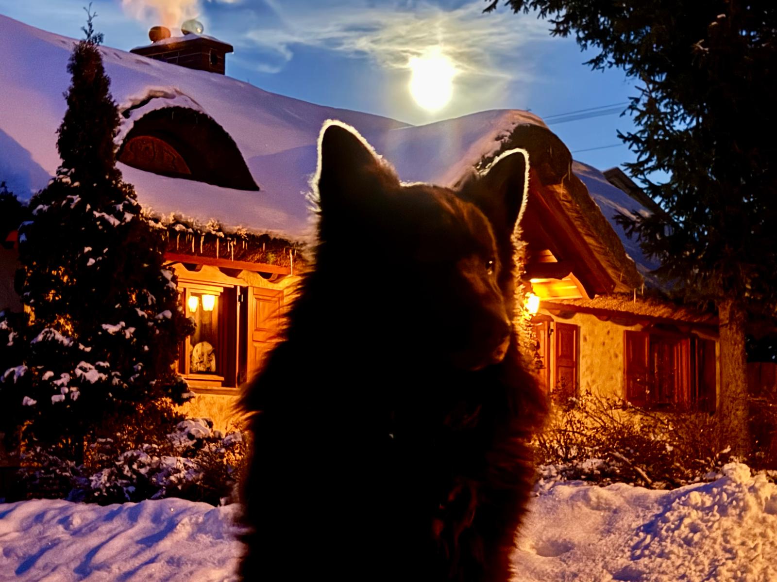 Widok 4