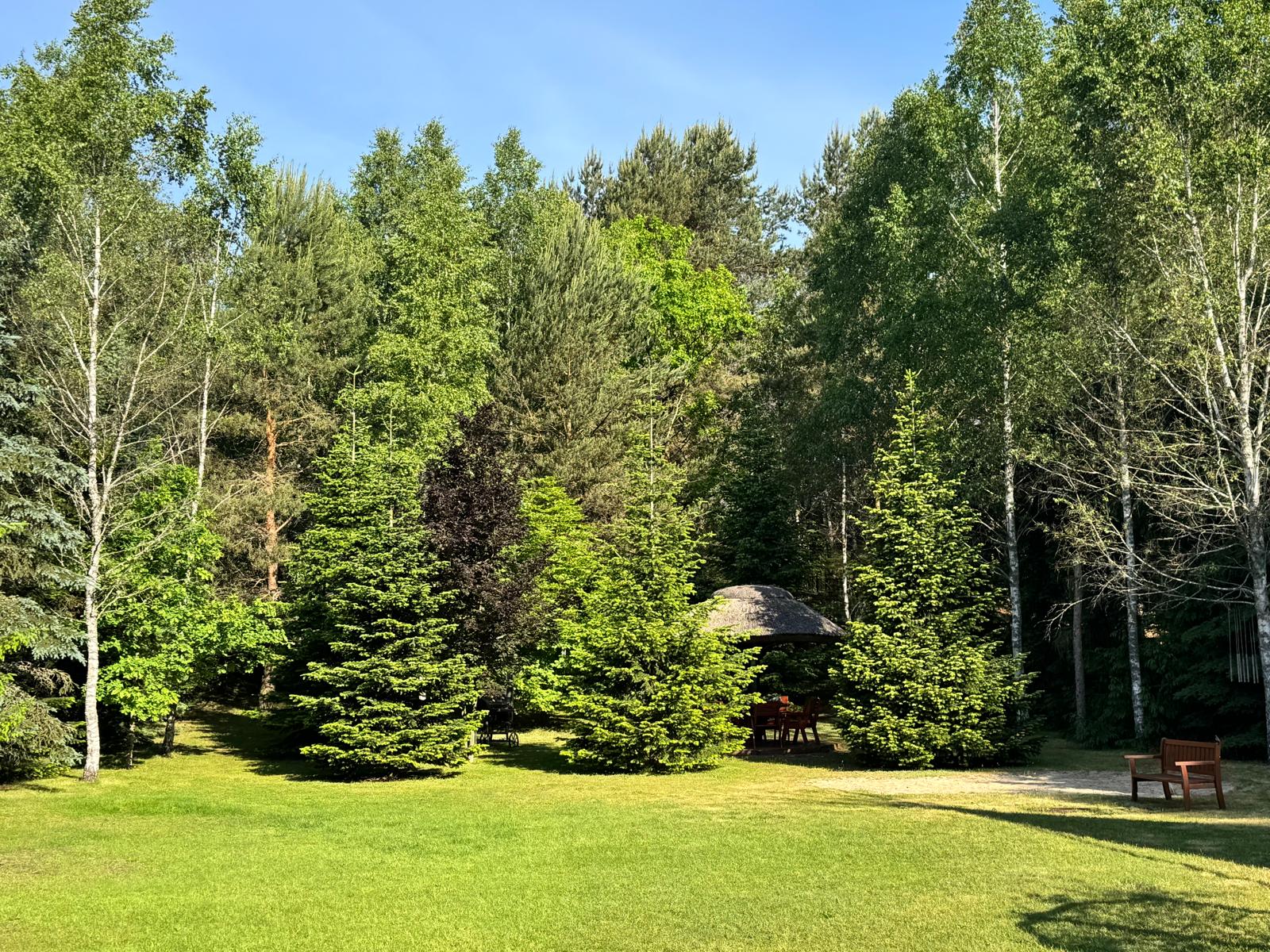 Widok 2